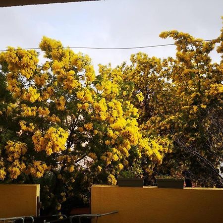 Appartement Proche Mer Avec Terrasse Et Jardin Privatif Hyères Екстериор снимка