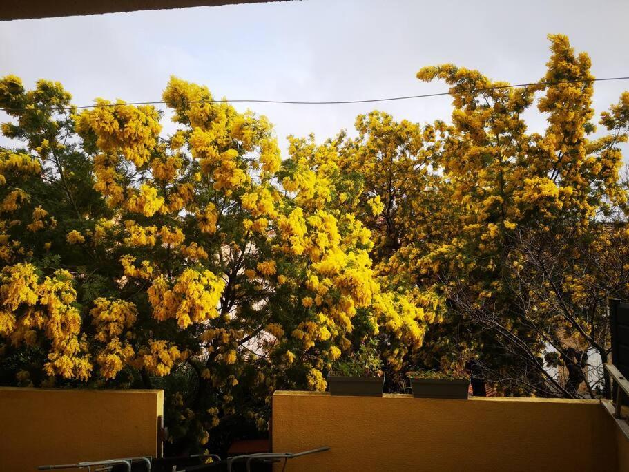 Appartement Proche Mer Avec Terrasse Et Jardin Privatif Hyères Екстериор снимка